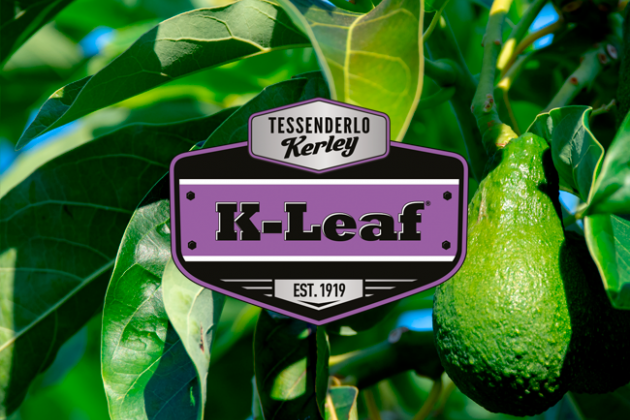 K-Leaf лого от Tessenderlo Kerley